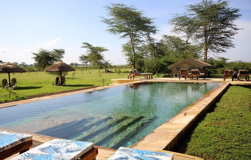 Discover the real Africa from Lake Manyara