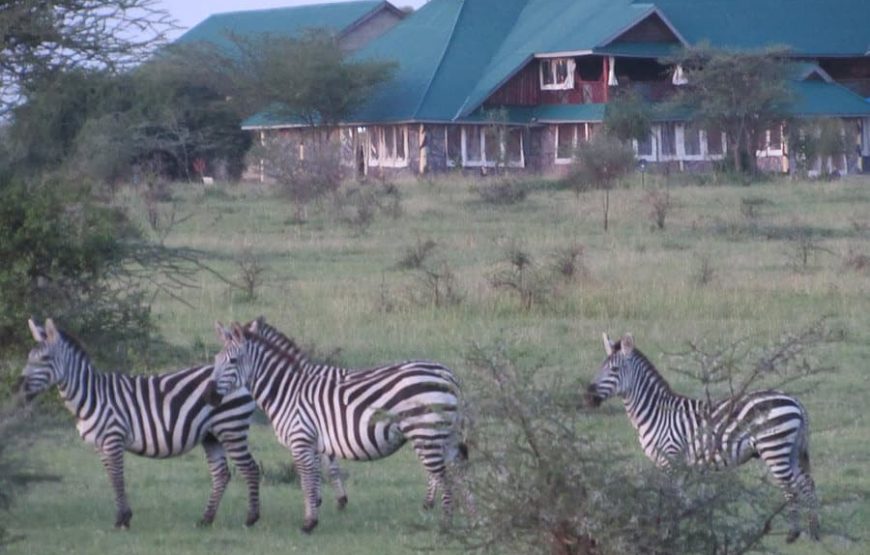 Safari en voiture et en avion dans le parc national du Serengeti
