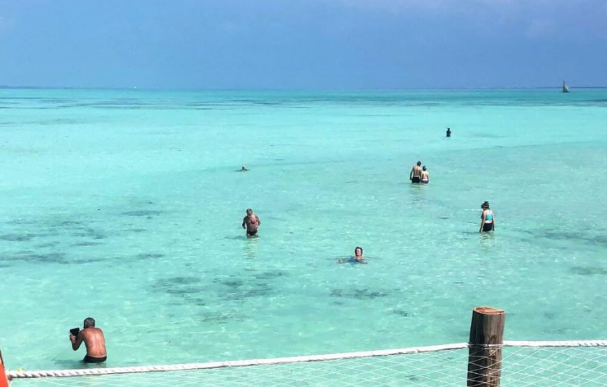 Beach and Safari Holidays Zanzibar & Lake Manyara