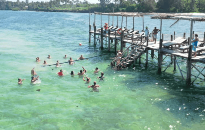 Diving Holiday Zanzibar