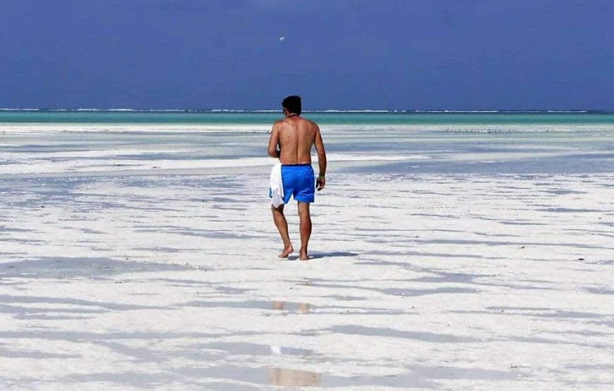 Beach and Safari Holidays Zanzibar & Lake Manyara