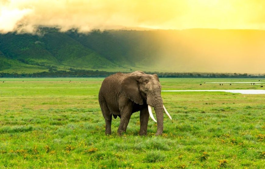 Classic Drive Safari Tarangire & Ngorongoro Crater