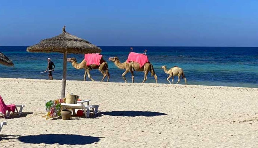 Beach Holiday Destination Djerba