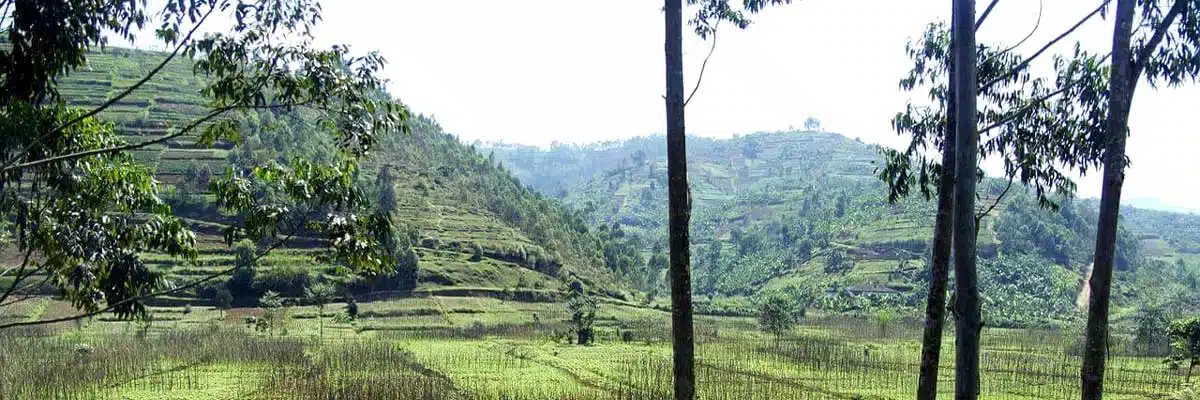 Holiday Destination Rwanda