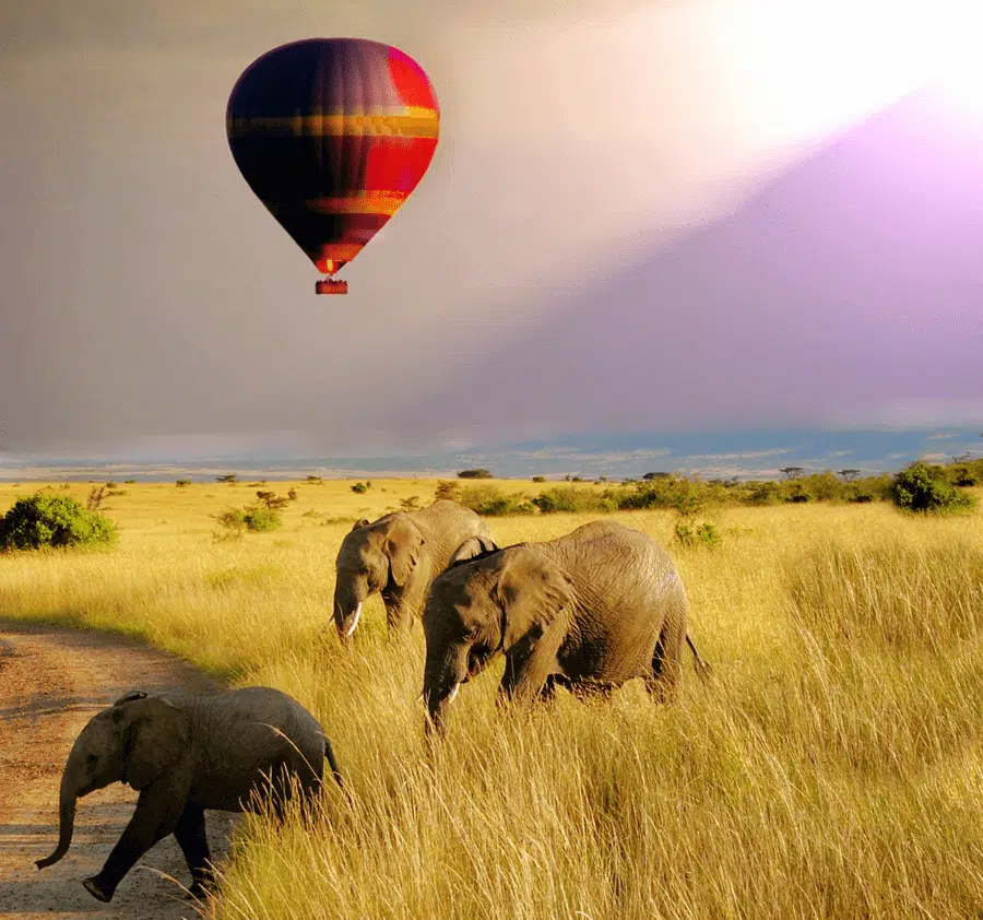 Hot Air Balloon Safari Destination Serengeti National Park 