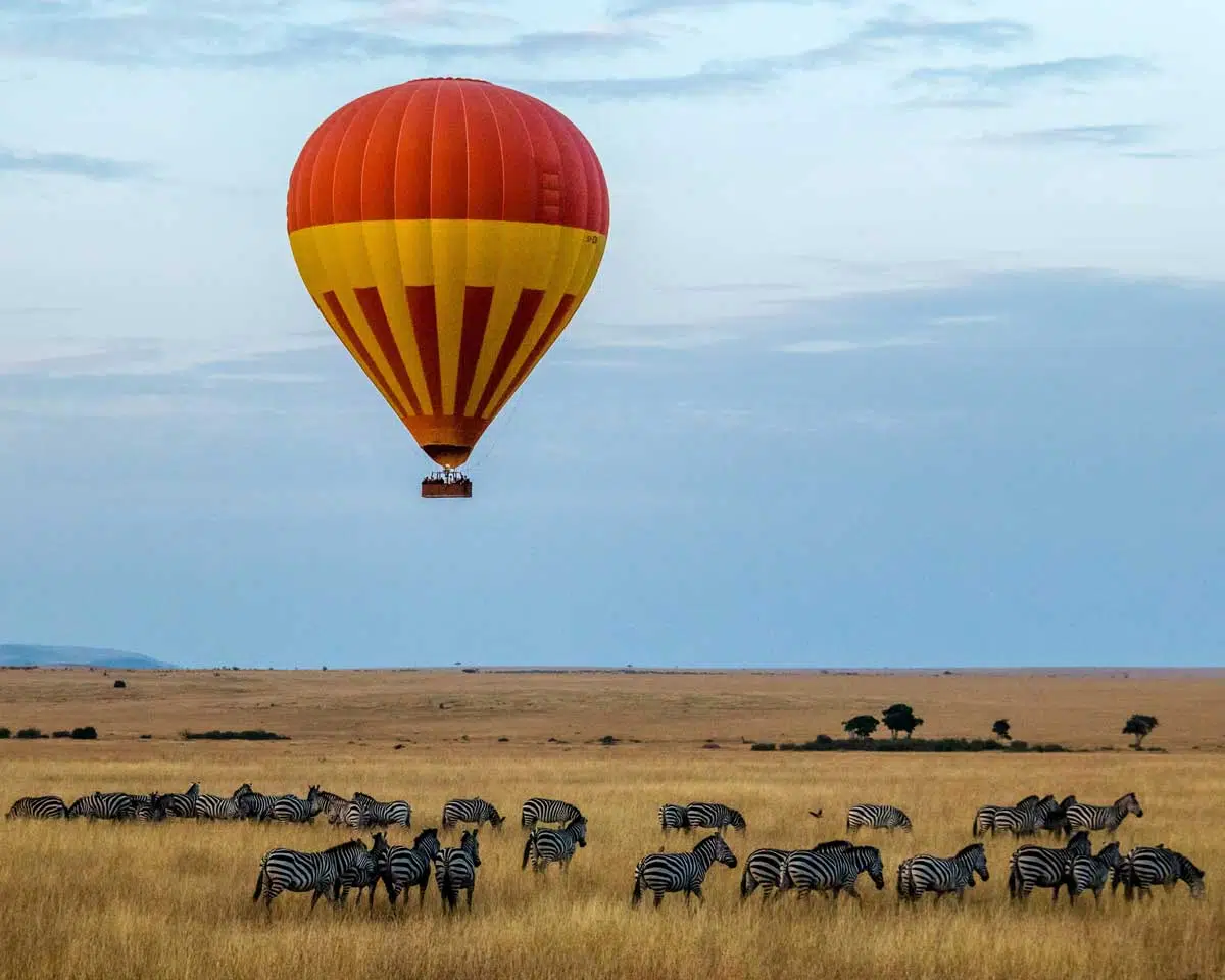 Destination Masai Mara Safari