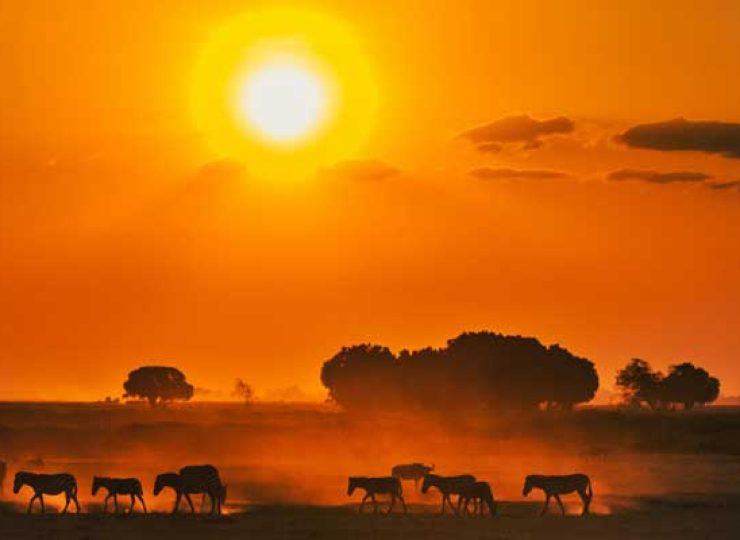 Masaï Mara GR