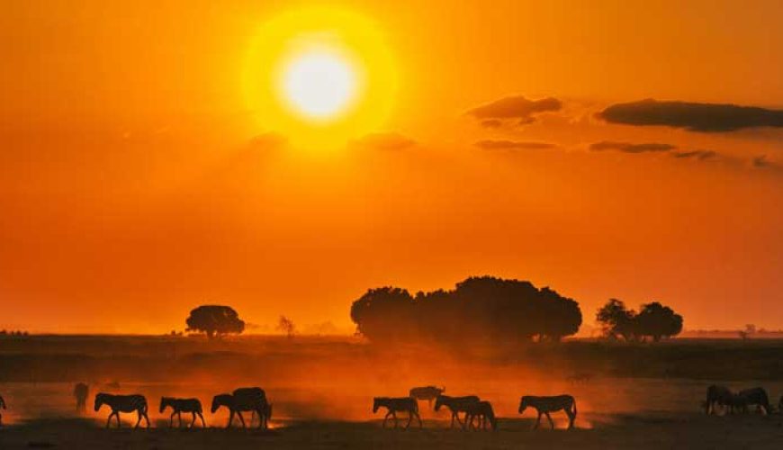 Vacances à Destination Safari Masai Mara
