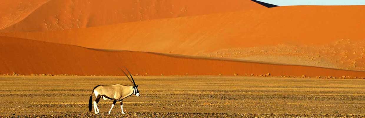 Best Holiday Destinations In Namibia Travel Guide & Places To Visit