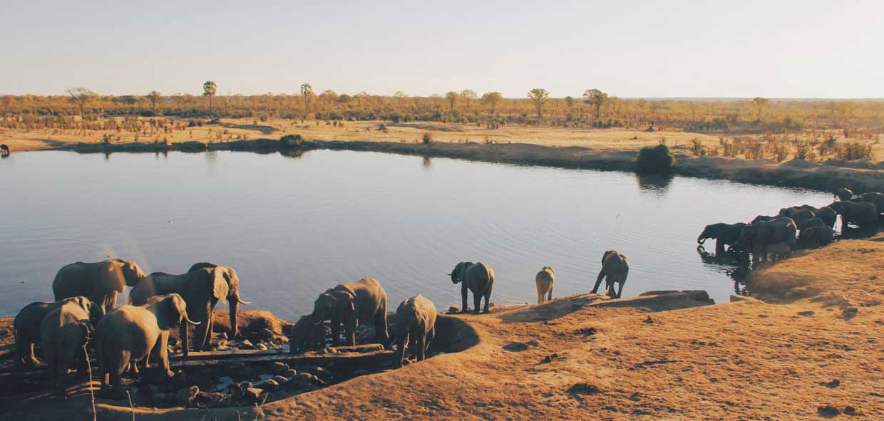 Destination Zimbabwe Hwange National Park