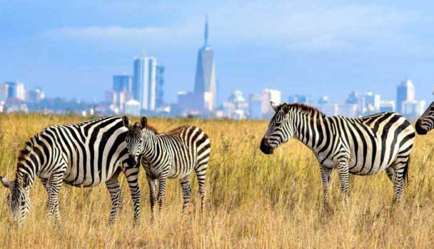Holiday Destination Kenya Safari