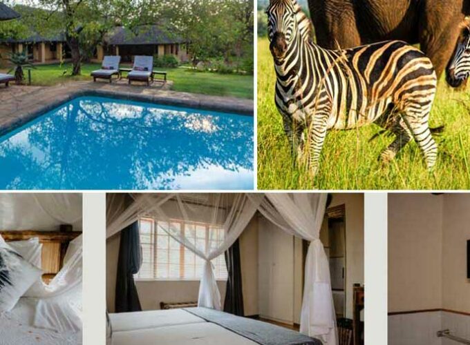 Forfait Royal Kruger Lodge et Spa