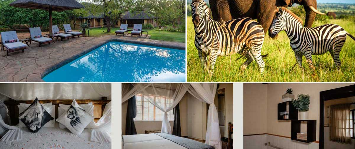 Forfait Royal Kruger Lodge et Spa