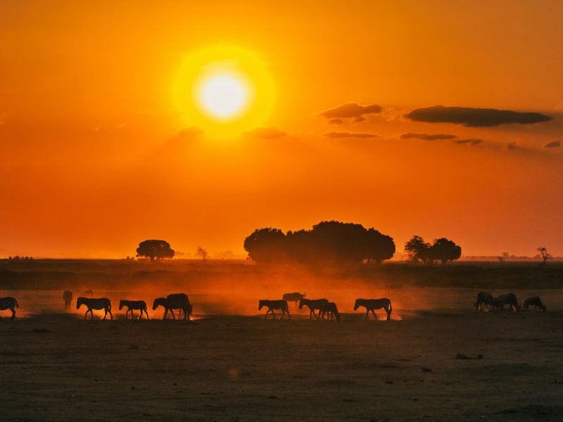 Maasai Mara Safari