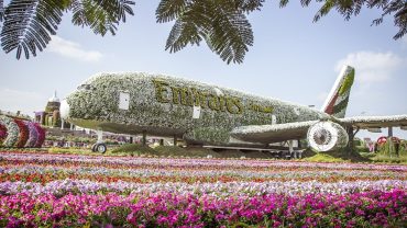 Dubai-miracle-garden
