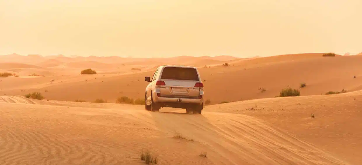 Abu Dhabi Desert